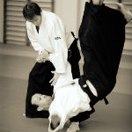 trening aikido